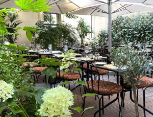 Maison Blossom Terrace